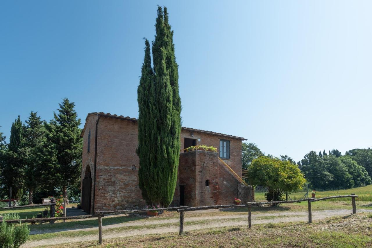Rosmarino Citta della Pieve